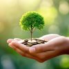 A Guide To Socially Responsible Investing In Canada