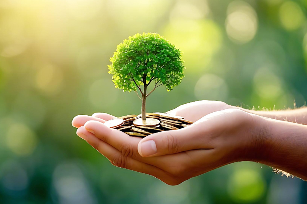 A Guide To Socially Responsible Investing In Canada